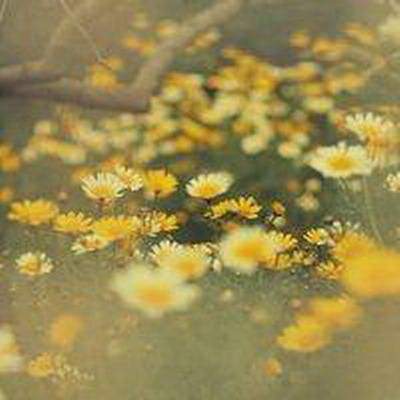 渝北哪个風水师傅看工厂風水最灵