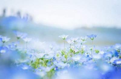 渝中哪个風水命理大師看门市風水口碑好