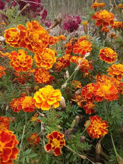 北碚哪个風水师傅看餐饮店風水