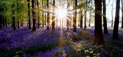 大渡口哪个風水师看月子会所風水好