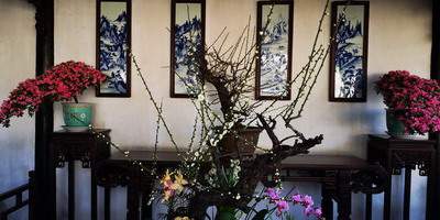 璧山区七塘镇找風水先生算住宅楼层風水价格