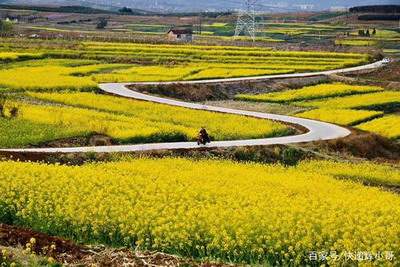 石柳乡请风水大师看风水开运收费【陆叁荷·淼淼风水师】