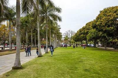 开州区温泉镇找風水先生算命理預測收费