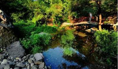自贡找风水师傅看健康风水价格标准