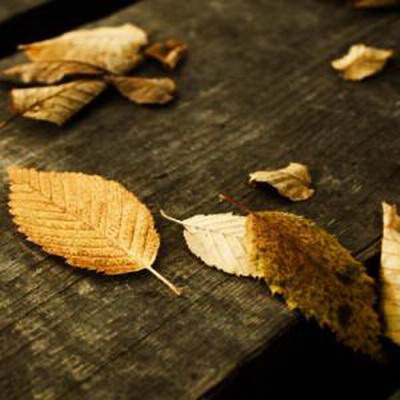 北碚哪个易经風水大師看公寓風水看得更准