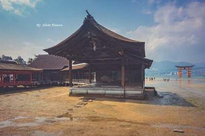 红土乡哪个風水命理大師看宠物店風水《重庆乾缘堂陆叁荷（淼淼）》
