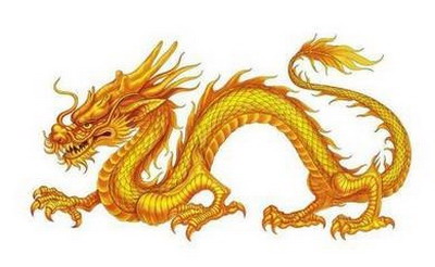 店铺風水摆放龙须树会影响生意吗