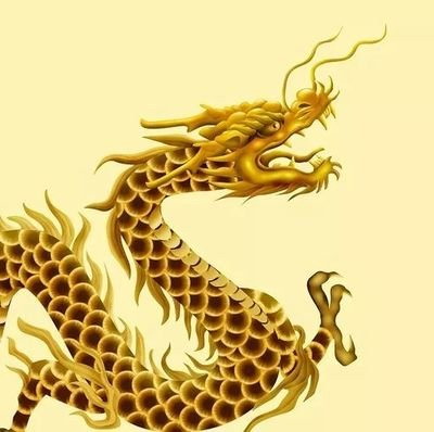 属龙办公室摆放什么植物