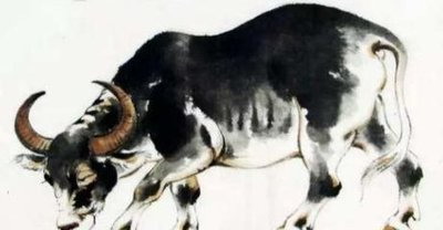 1973年属牛的人2017年运程