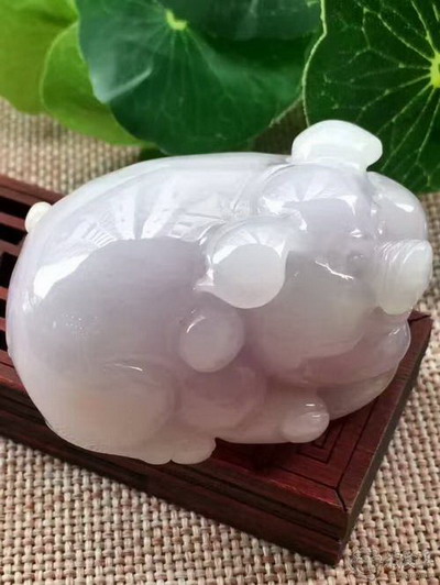 風水学中属猪人家里补角补哪里？
