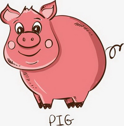 2022年生肖猪全年运势分析，每个月的运势解析大全