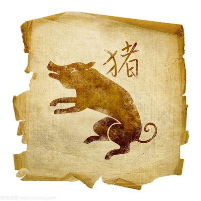 属猪男人2023年下半年事业运好不好迎来发