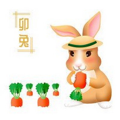 厕所、阳台，沙发！分别就火热的生肖配对