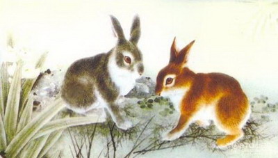 1987年7月出生的属兔的人哪一年能发财，属兔有什么缺点？