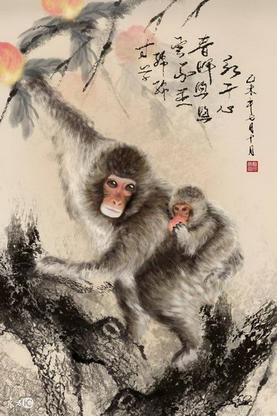 头胎属猴二胎属相禁忌，生什么属相的孩子好