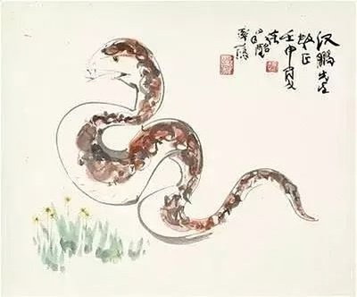 属蛇男属鸡女生什么生肖的孩子好