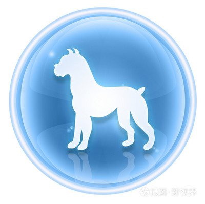 属狗不能吃什么肉 属狗吃什么食物旺财