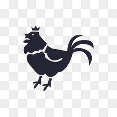 诸葛孔明属什么生肖生肖是鸡