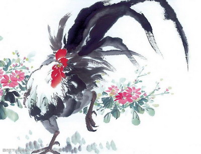 鸡年哪些风水不能忽视