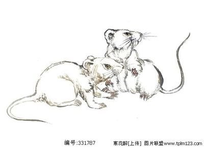 老师2016年9月属鼠财气运势