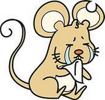 2020庚子鼠年正月初十日是祈福的黄道吉日吗？