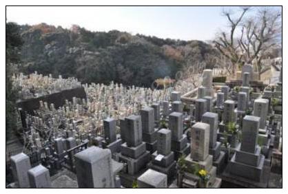 农历2023年二月十三这天祭祀祖先吉利吗