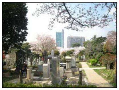 2024年腊月初一是修坟吉日吗腊月初一吉时查询2020