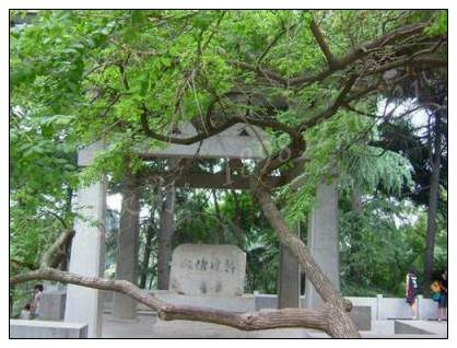 看坟地记住一句口诀