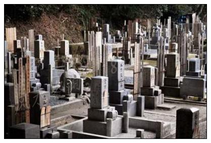 2024年农历七月初一适不适合祭祀？