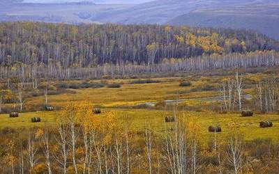 很准的在线算命工具,万年历生辰八字算命 很准的在线算命工具,万年历生辰八字算命