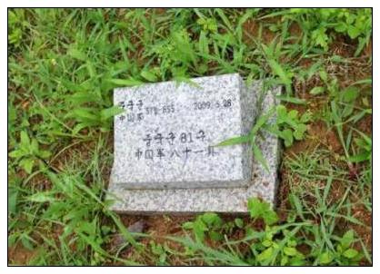 祖坟上放什么后代富贵