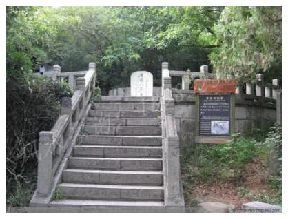 讲解清明上坟用什么花最合适