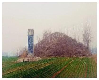 上坟水果都买啥买几个 上坟水果都买啥买几个