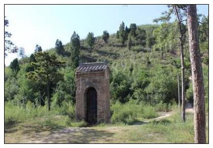 坟地能种什么花